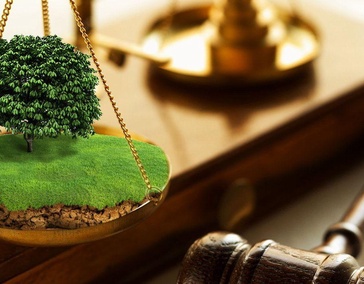 Земельное право