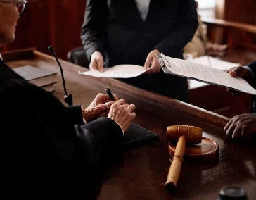 Представительство в суде и госорганах