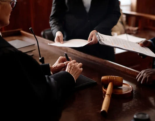 Представительство в суде и госорганах